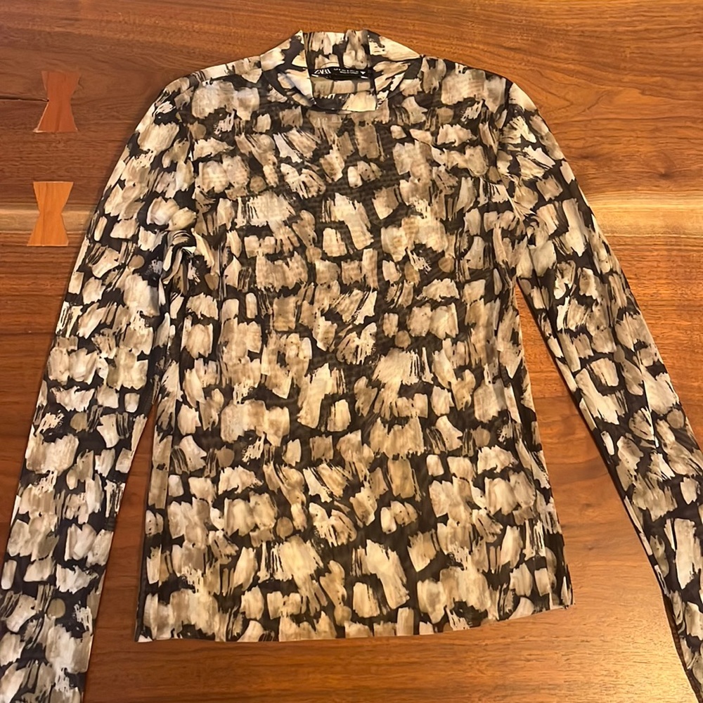 Zara sheer top